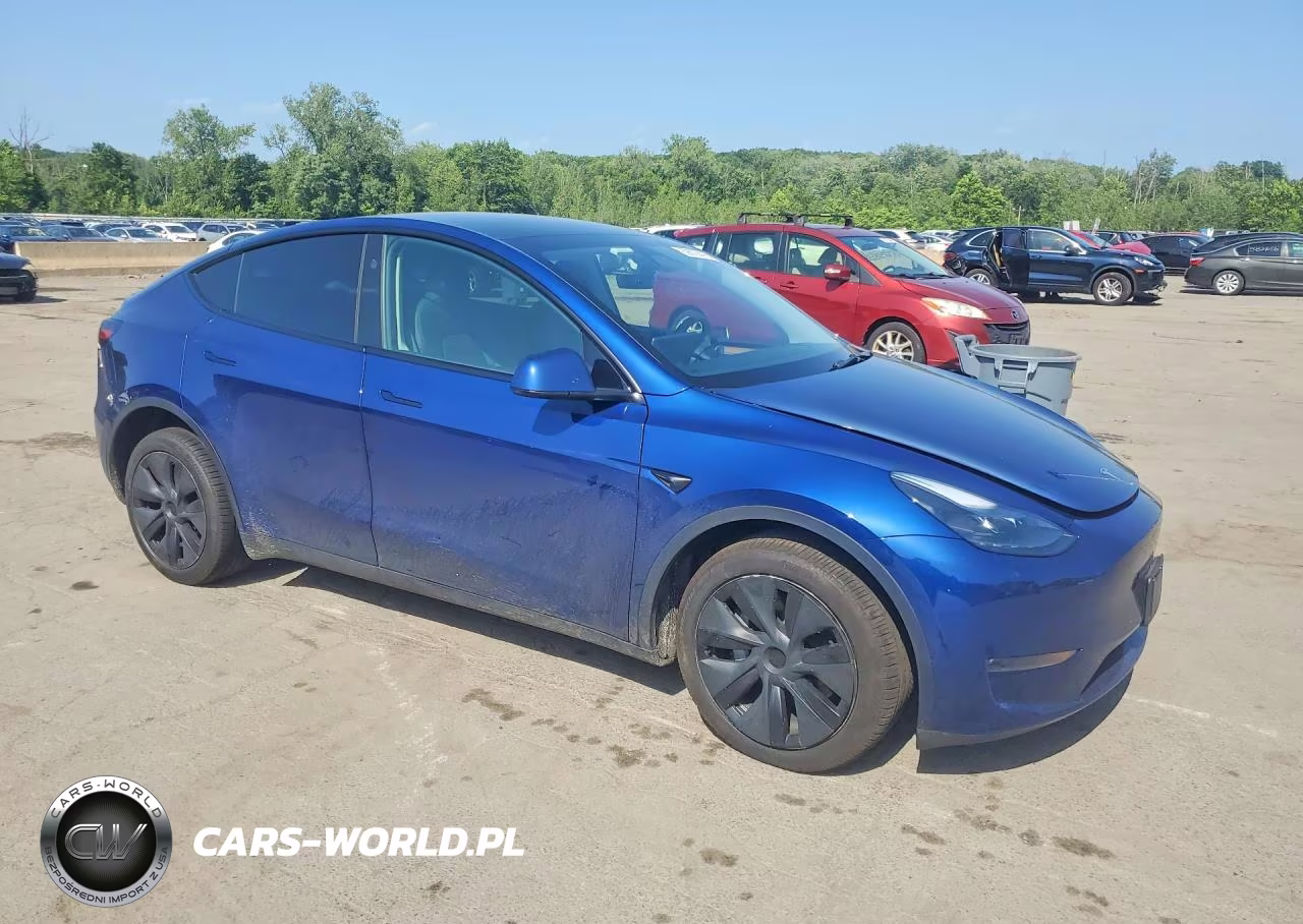 2025 Tesla Model Y VIN:7SAYGDEEXSA339749 - 4