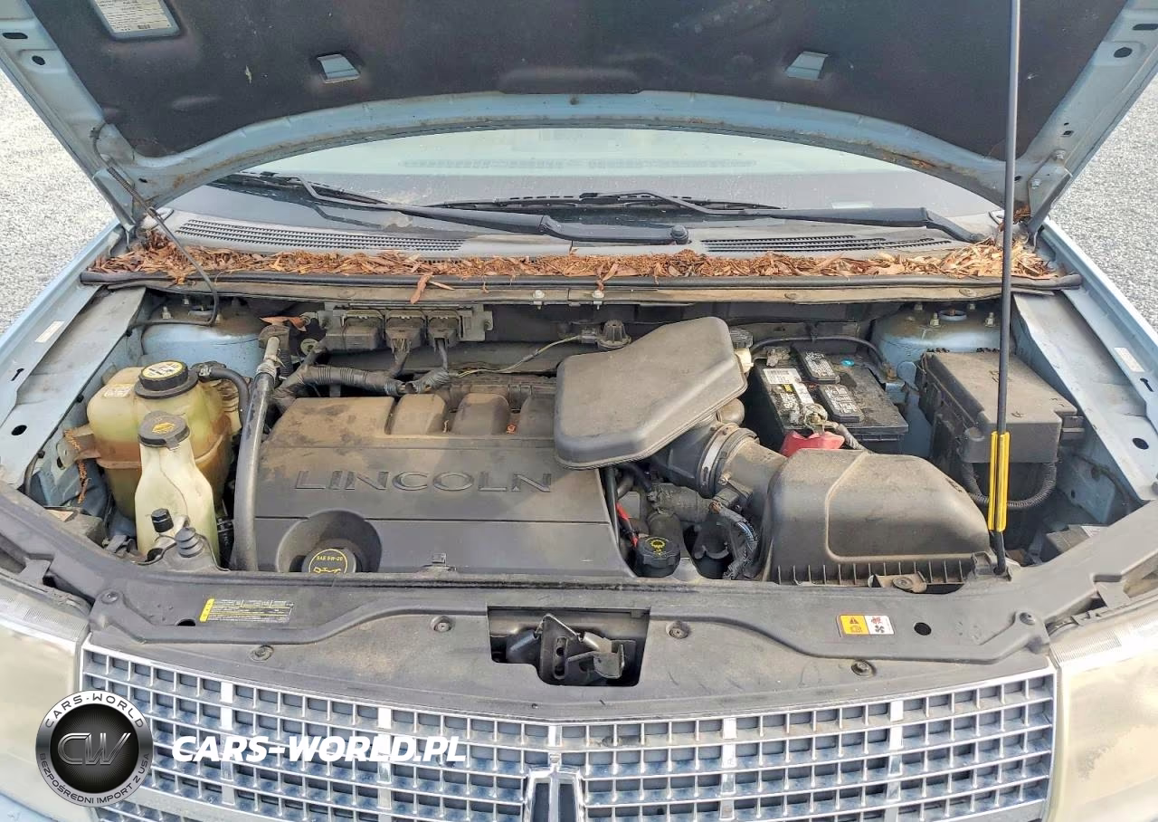 2008 Lincoln Mkx VIN:2LMDU68CX8BJ13679 - 12