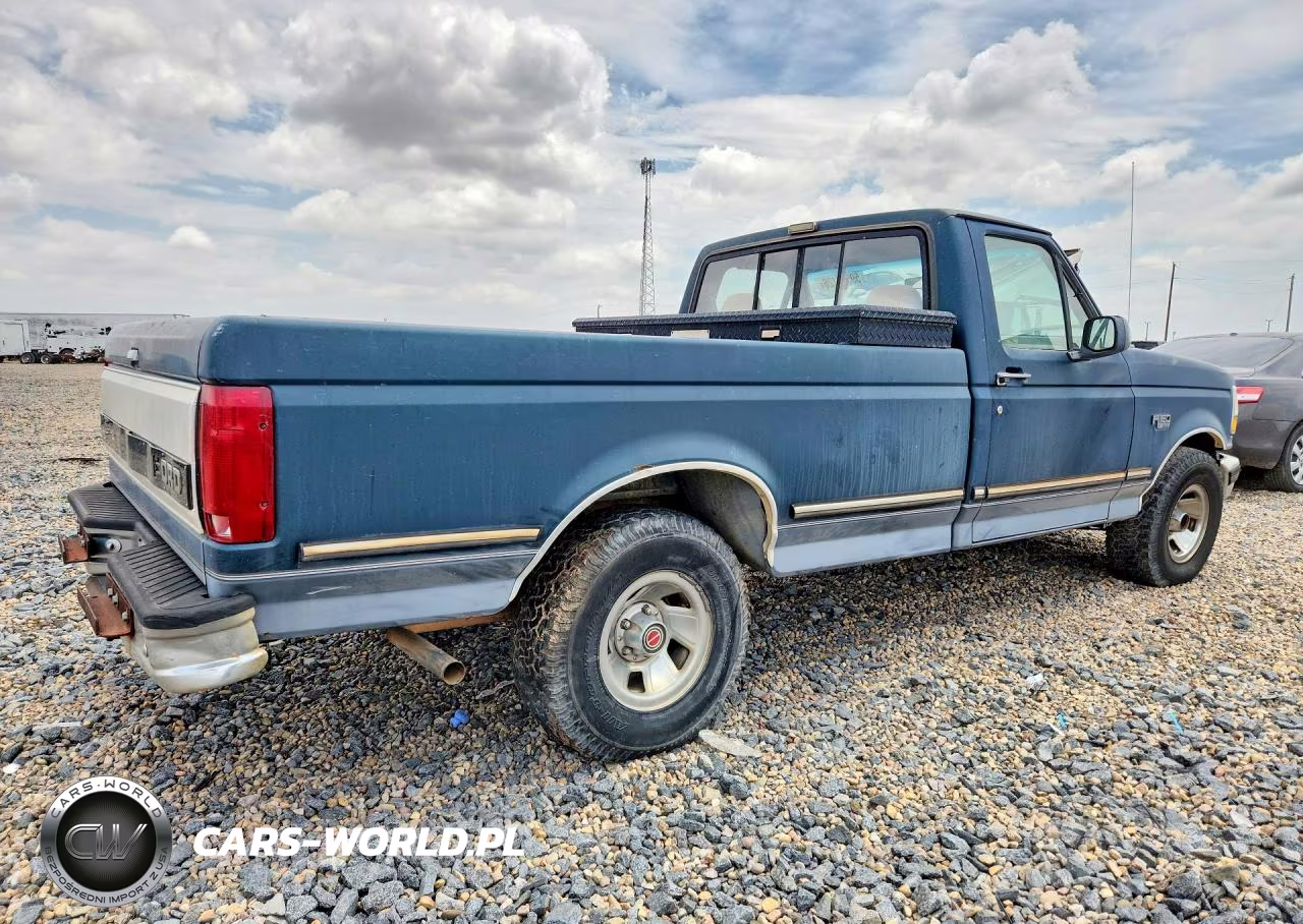 1993 Ford F-150 VIN:1FTDF15N0PLA47130 - 3