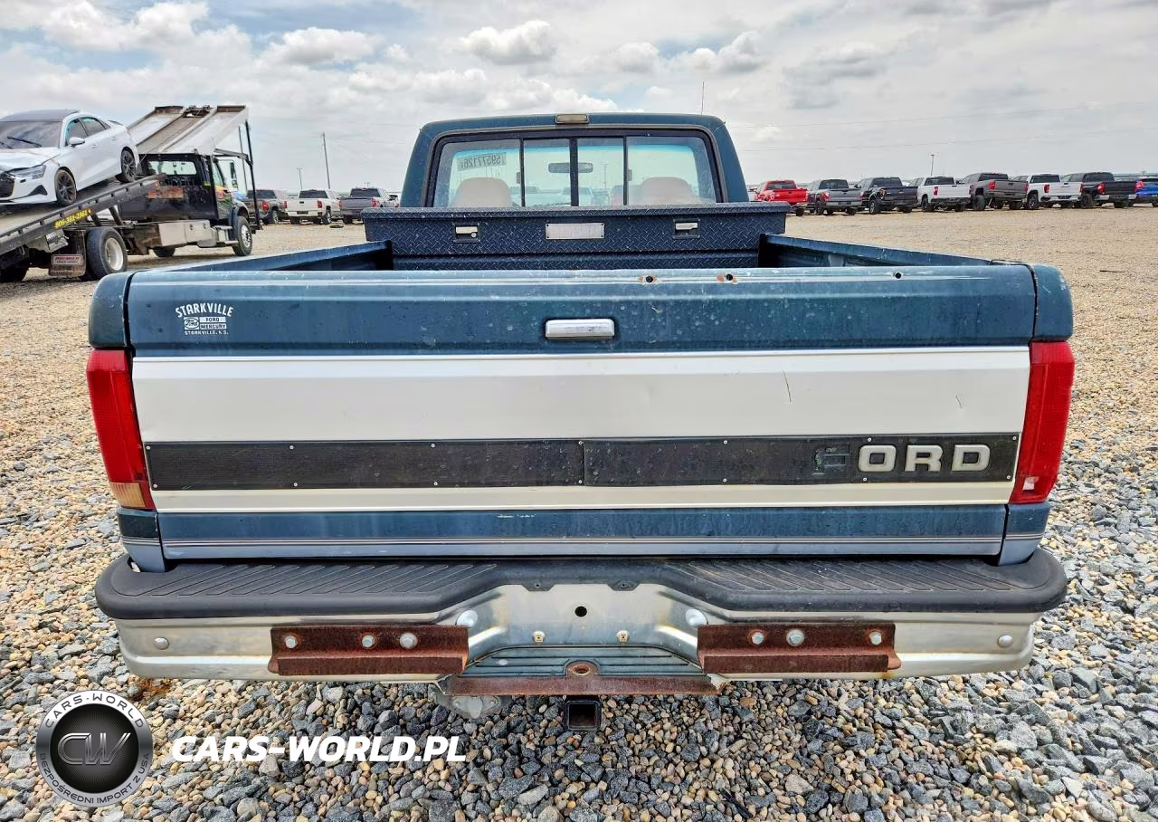 1993 Ford F-150 VIN:1FTDF15N0PLA47130 - 6