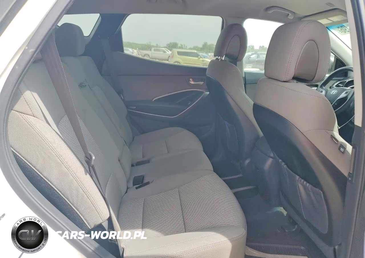 2016 Hyundai Santa Fe VIN:5XYZT3LBXGG317169 - 10