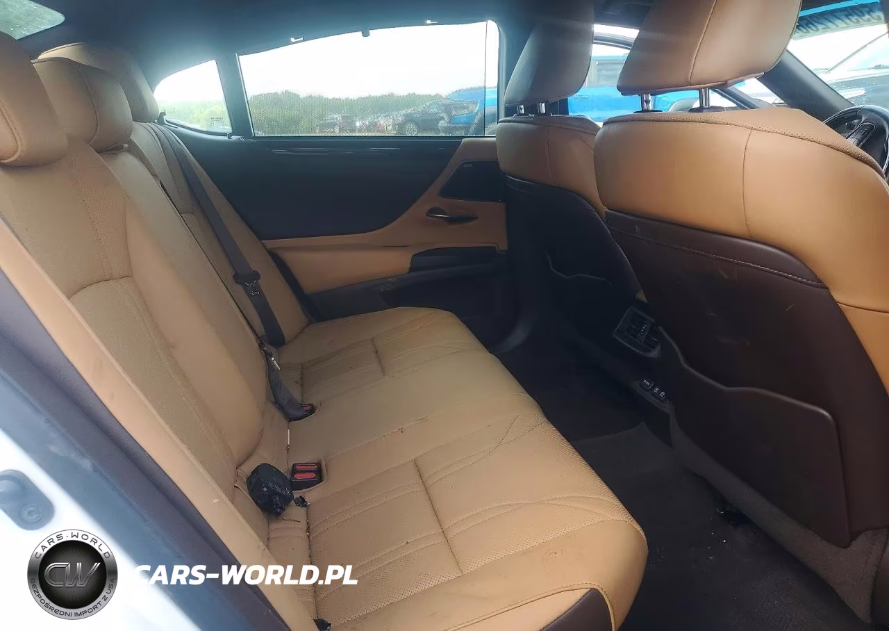 2021 Lexus Es 300H Ultra Luxury VIN:58AFA1C19MU005105 - 10