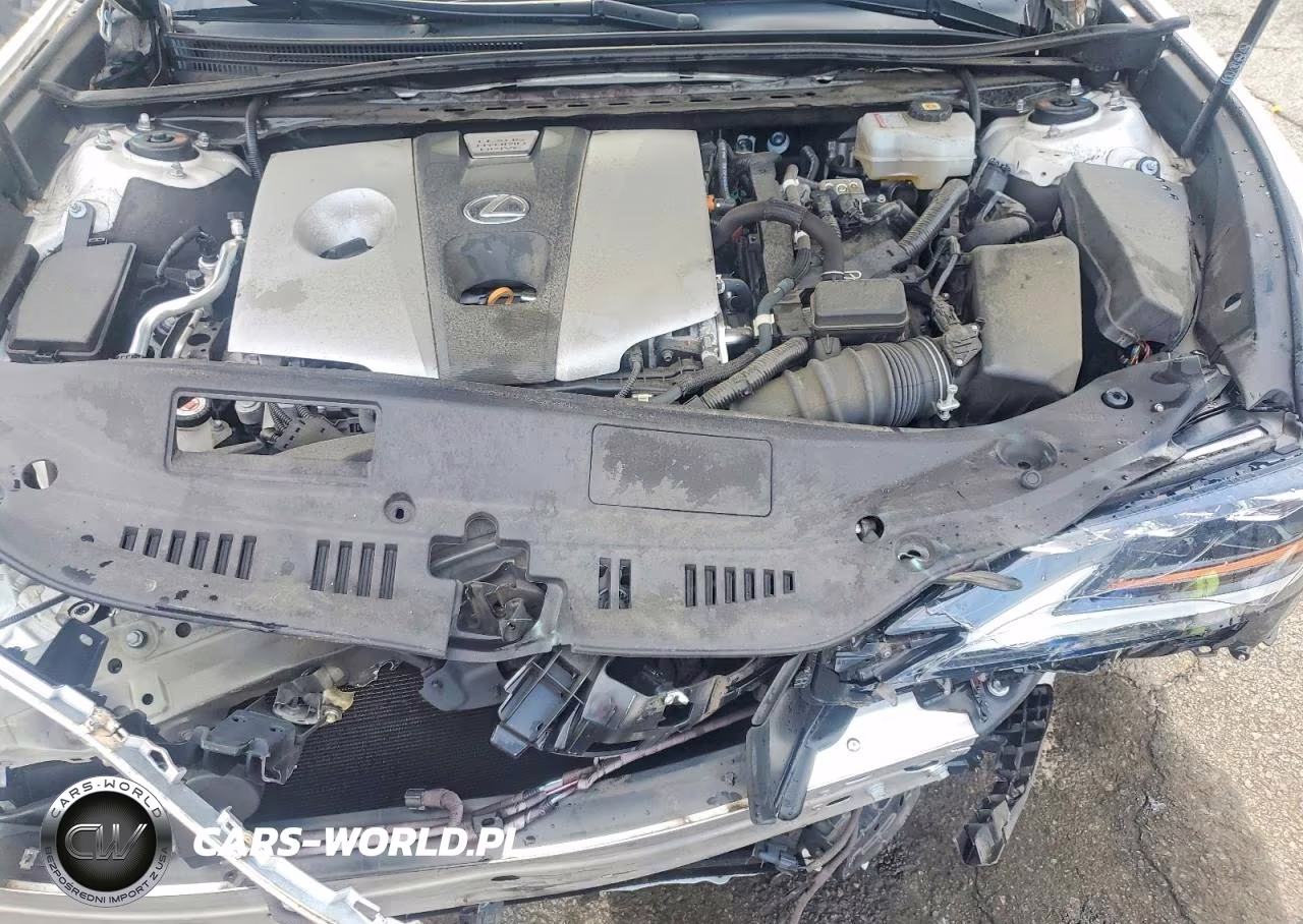 2021 Lexus Es 300H Ultra Luxury VIN:58AFA1C19MU005105 - 11