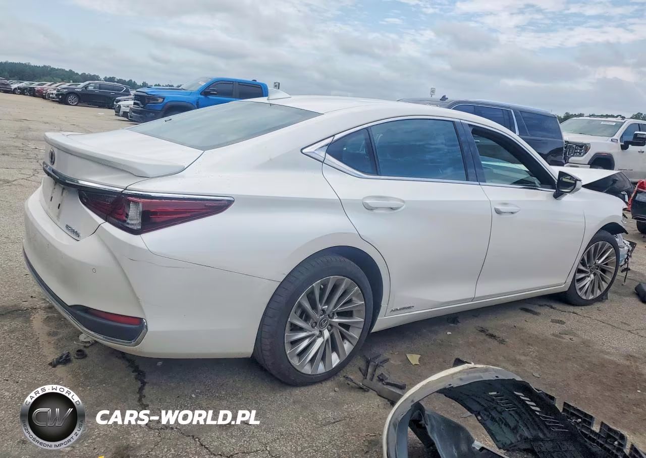 2021 Lexus Es 300H Ultra Luxury VIN:58AFA1C19MU005105 - 3