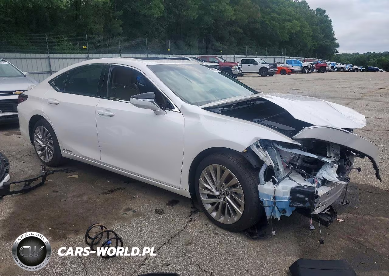 2021 Lexus Es 300H Ultra Luxury VIN:58AFA1C19MU005105 - 4
