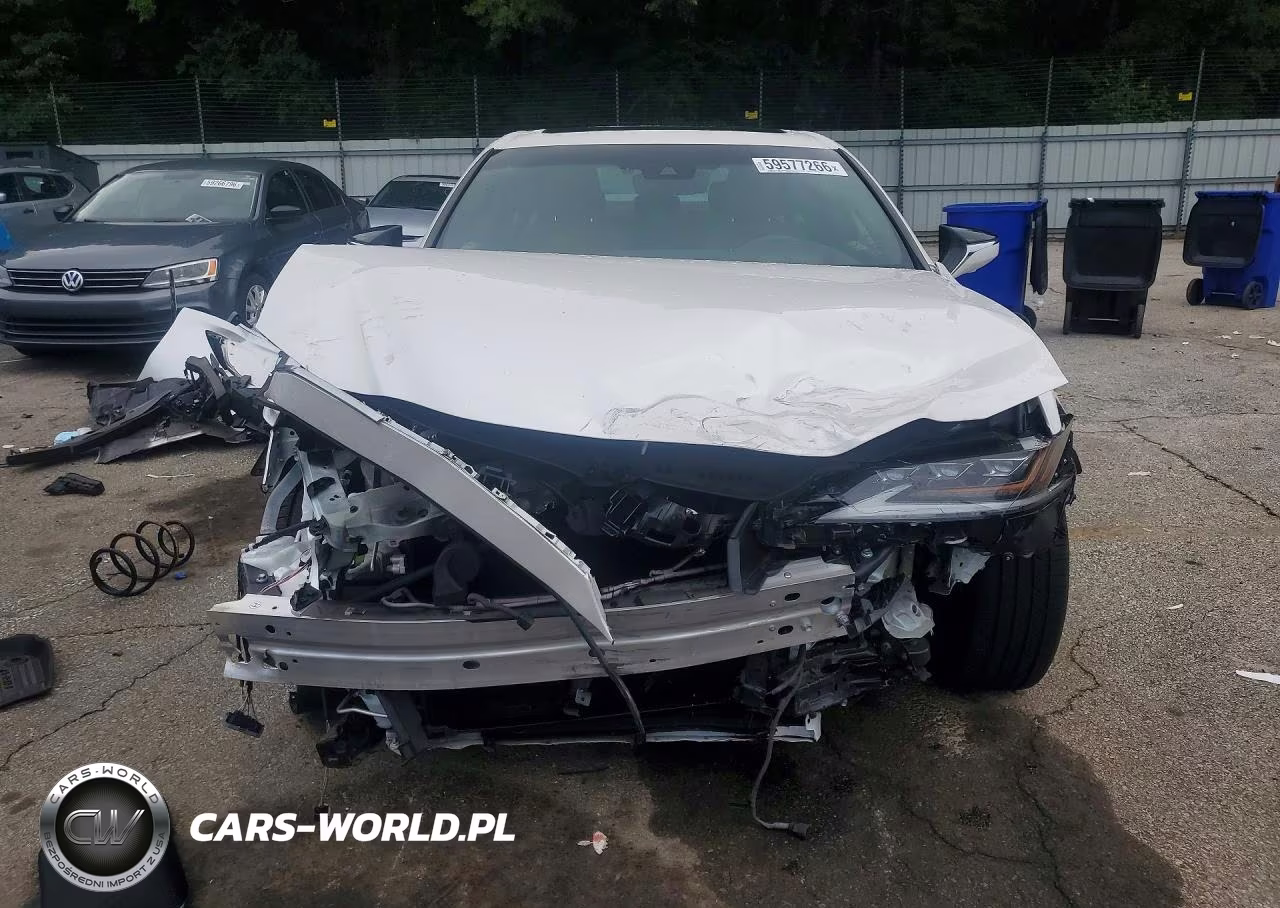 2021 Lexus Es 300H Ultra Luxury VIN:58AFA1C19MU005105 - 5