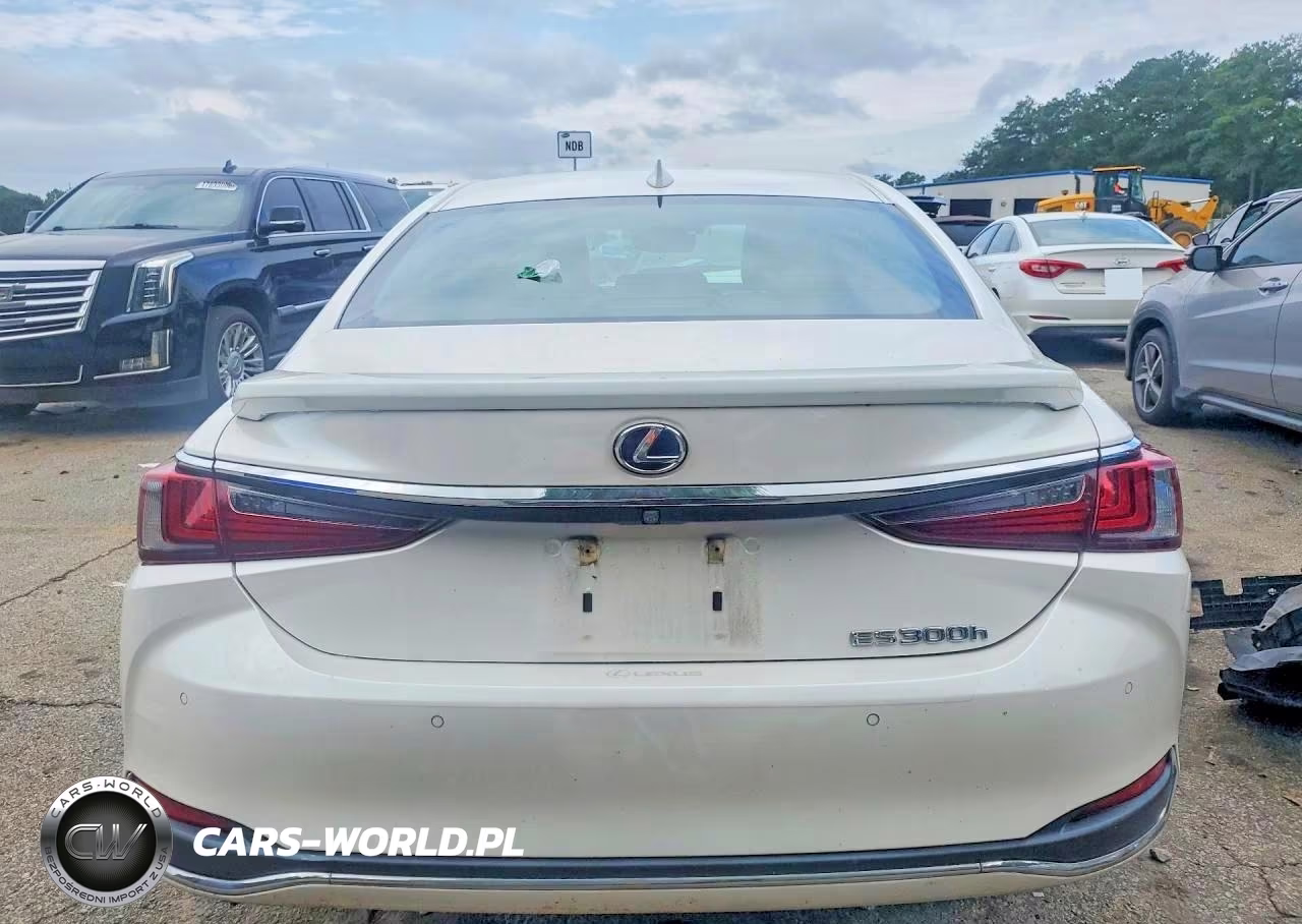 2021 Lexus Es 300H Ultra Luxury VIN:58AFA1C19MU005105 - 6