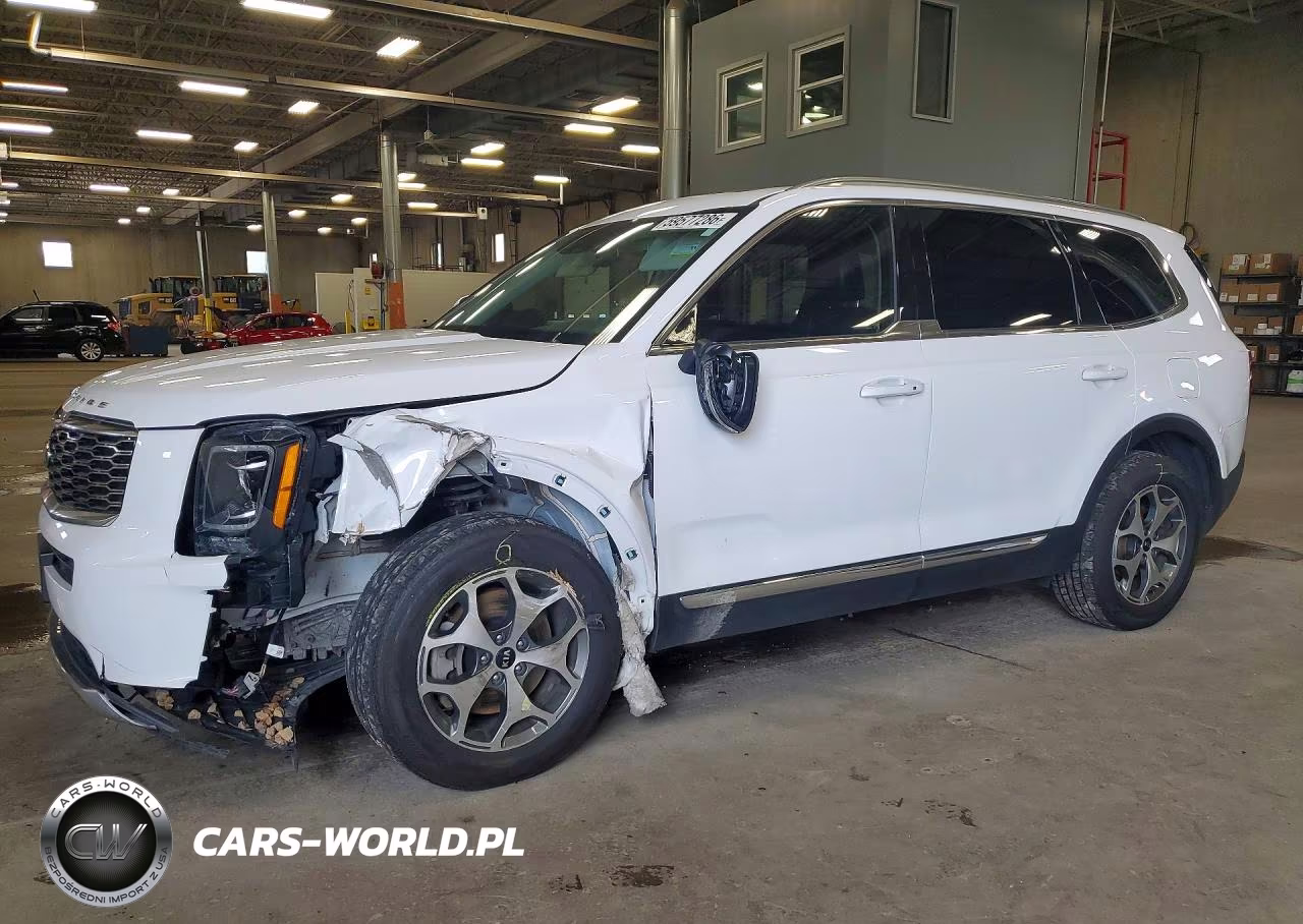 2021 Kia Telluride Ex VIN:5XYP3DHC4MG118662 - 1