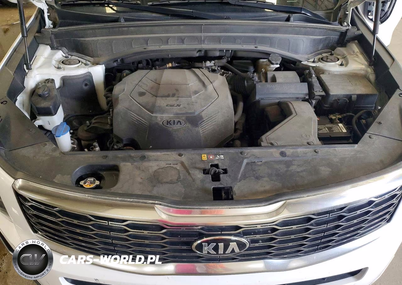 2021 Kia Telluride Ex VIN:5XYP3DHC4MG118662 - 12