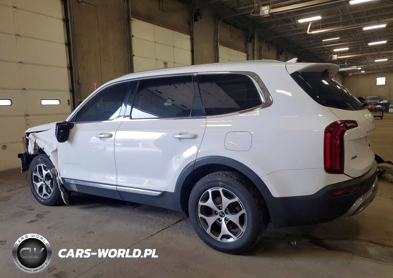 2021 Kia Telluride Ex VIN:5XYP3DHC4MG118662 - 2