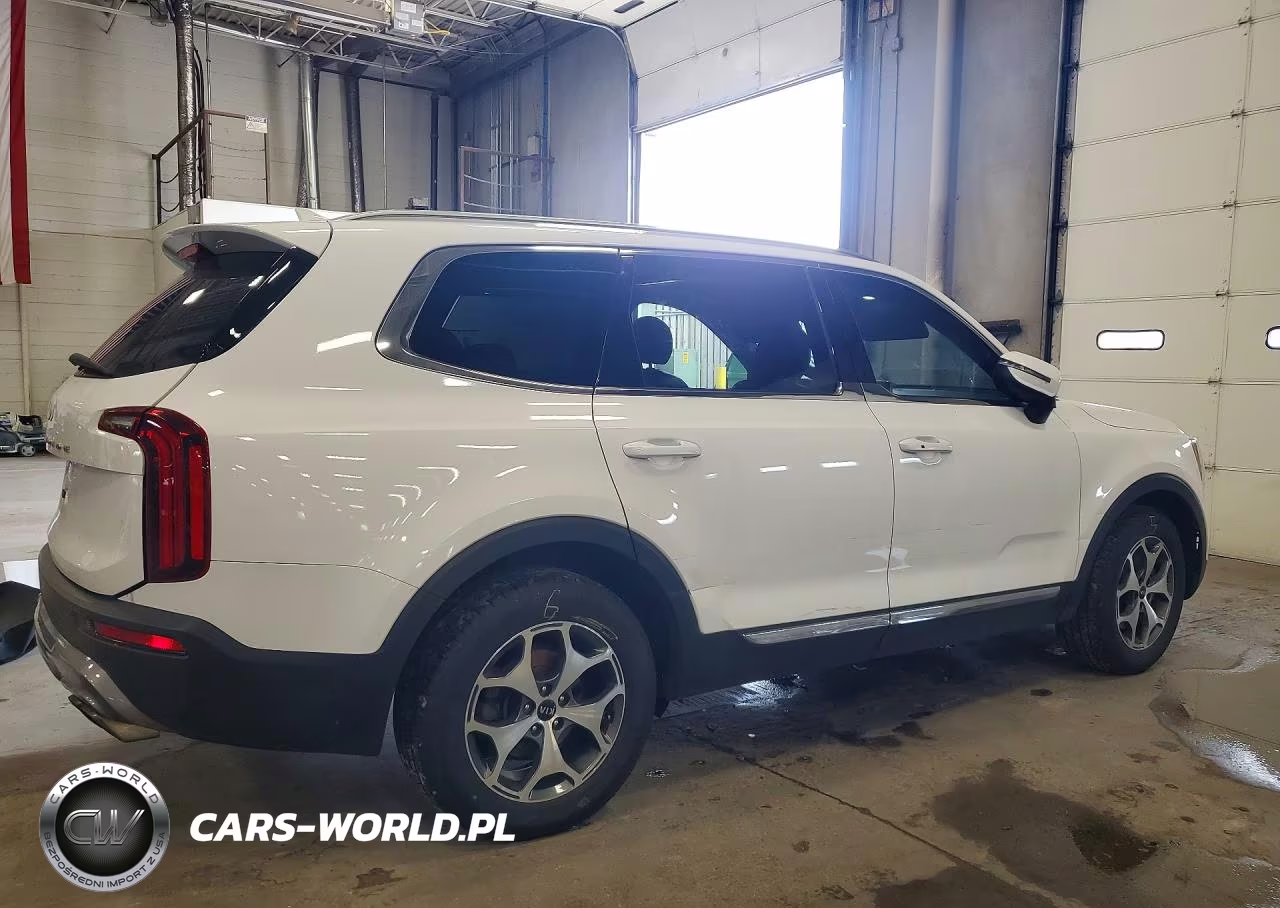 2021 Kia Telluride Ex VIN:5XYP3DHC4MG118662 - 3