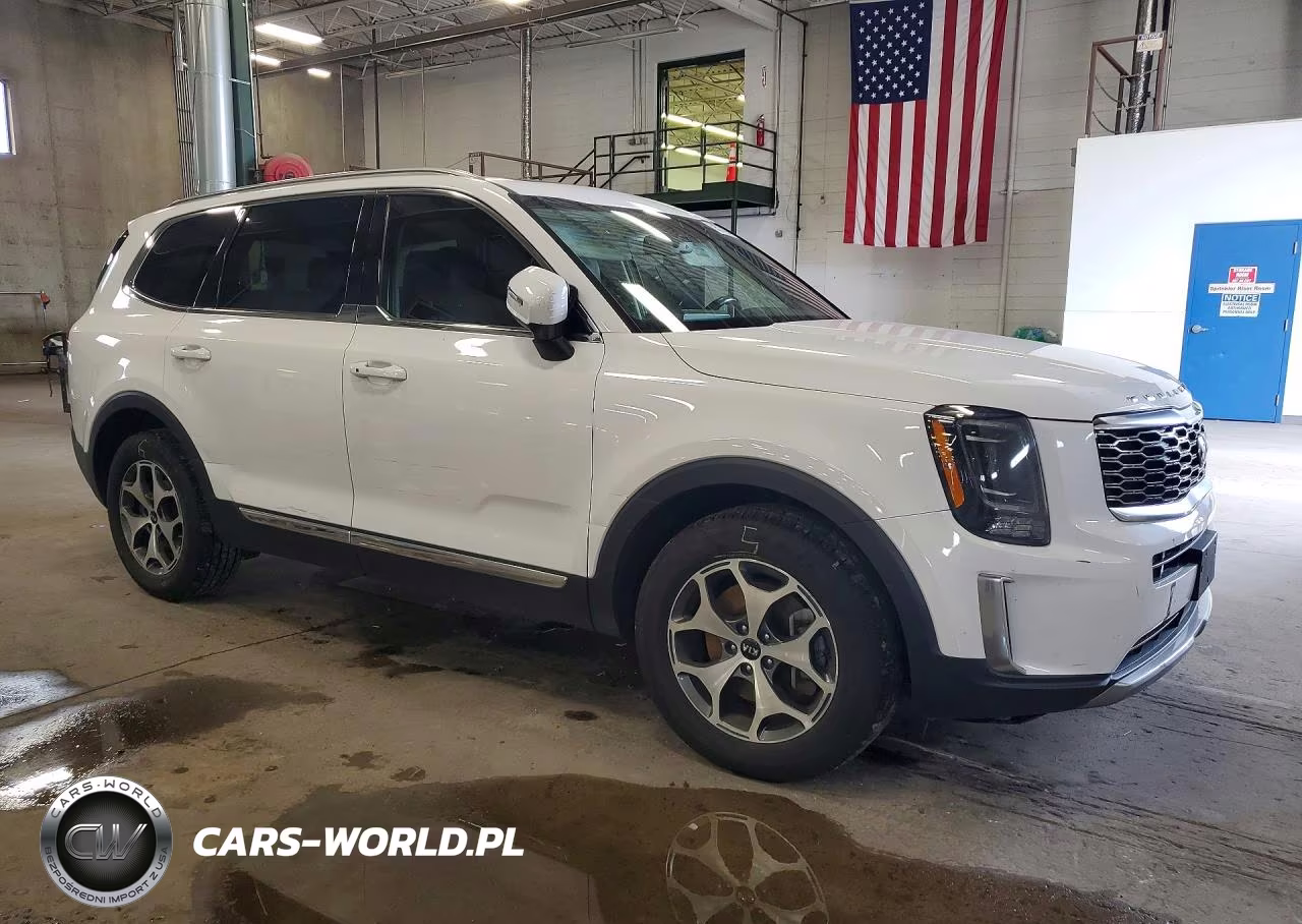 2021 Kia Telluride Ex VIN:5XYP3DHC4MG118662 - 4