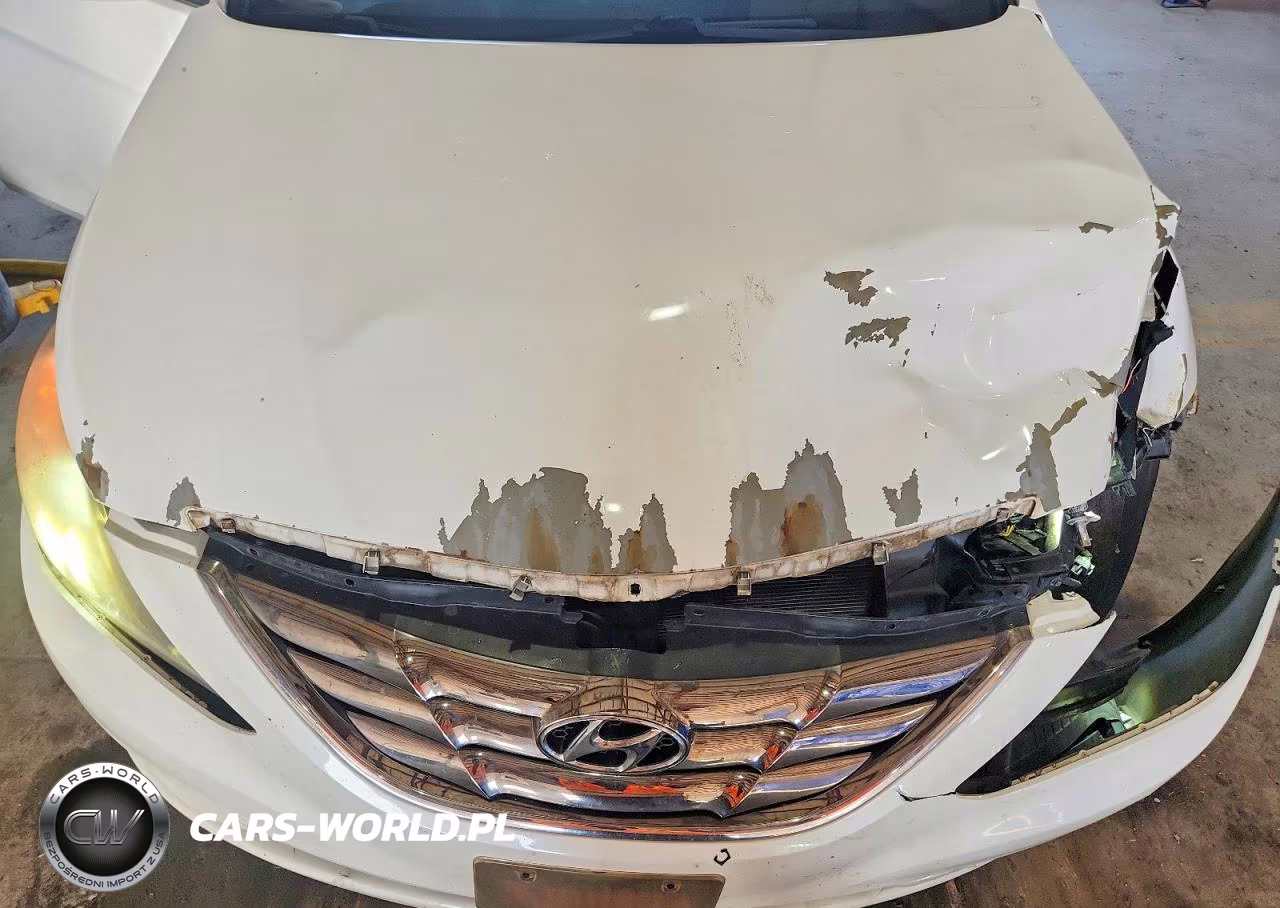 2011 Hyundai Sonata Se VIN:5NPEC4AC2BH201448 - 11