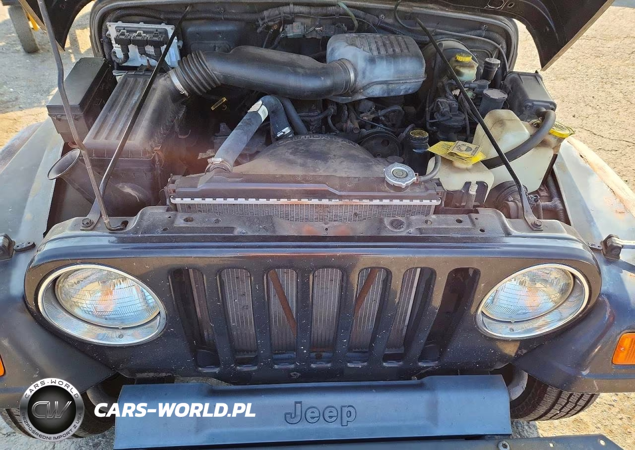 2001 Jeep Wrangler - Tj Se VIN:1J4FA29P31P364404 - 12