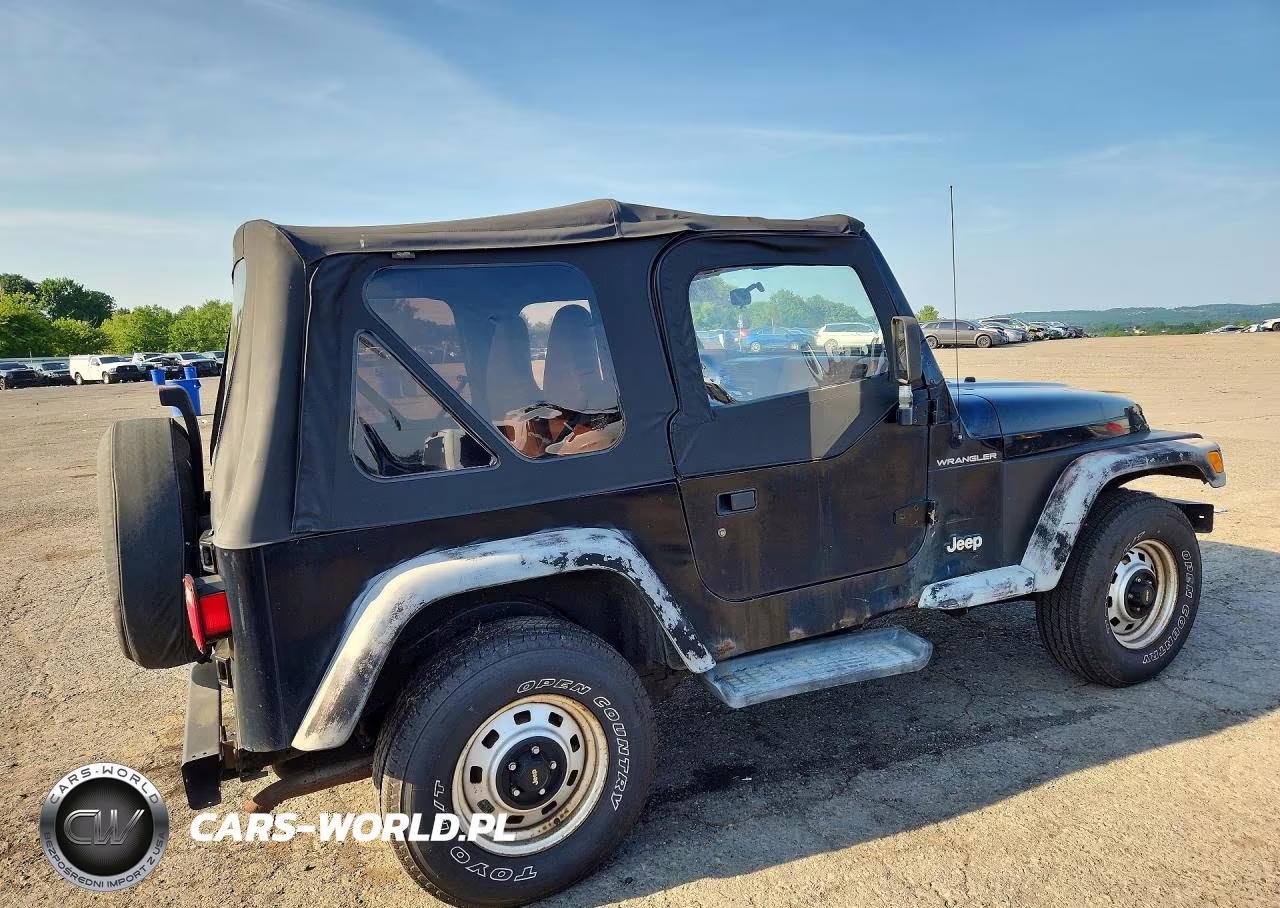 2001 Jeep Wrangler - Tj Se VIN:1J4FA29P31P364404 - 3