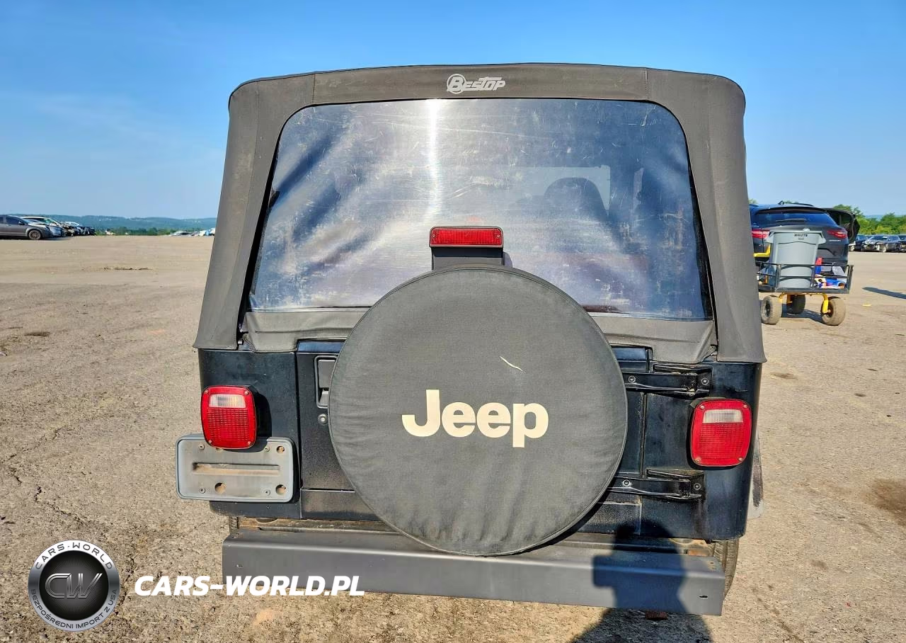 2001 Jeep Wrangler - Tj Se VIN:1J4FA29P31P364404 - 6