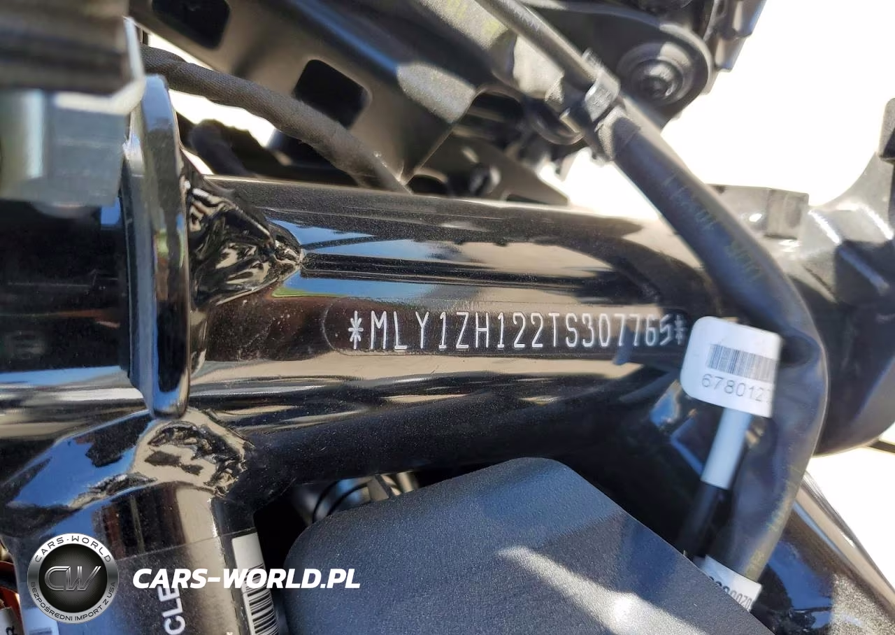 2026 Harley-Davidson Rh975 VIN:MLY1ZH122TS307765 - 9