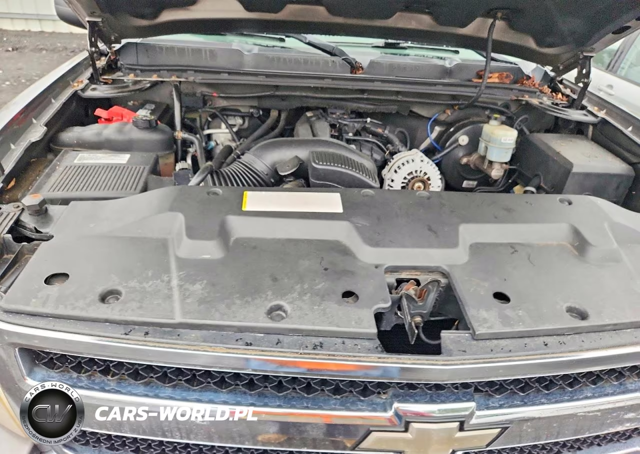 2009 Chevrolet Silverado K1500 Lt VIN:3GCEK23379G131002 - 11