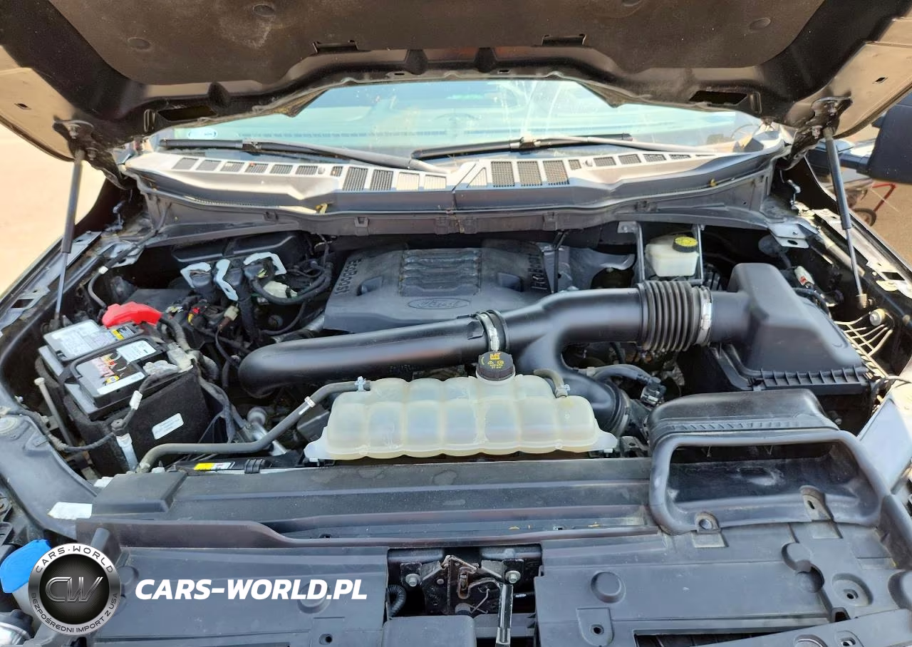 2021 Ford F150 Supercrew VIN:1FTFW1E85MKD29994 - 11