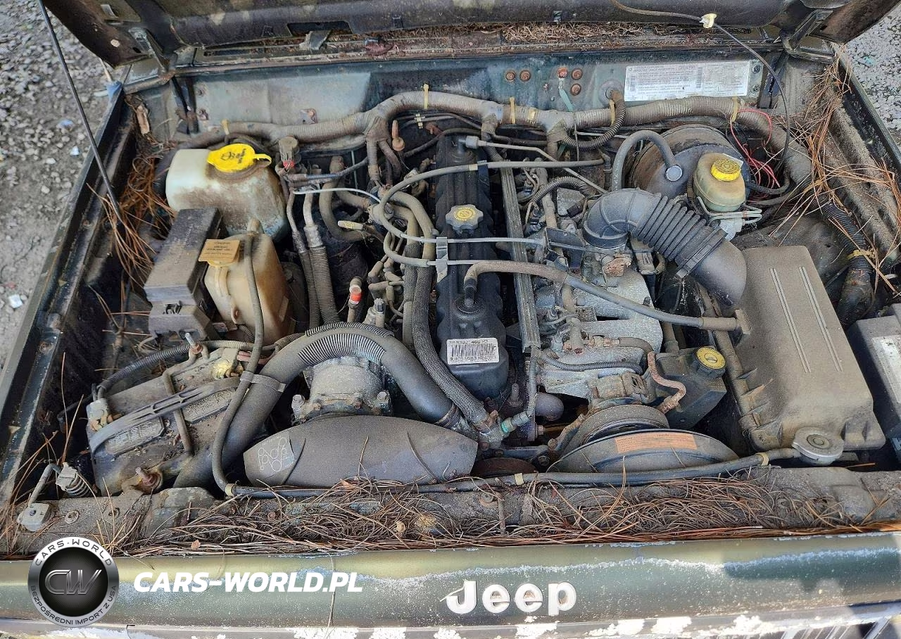1996 Jeep Cherokee Sport VIN:1J4FJ68S5TL181044 - 12