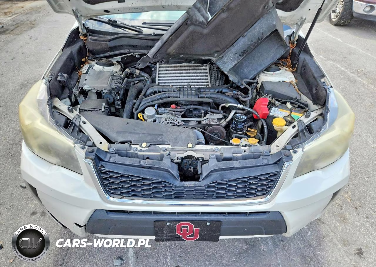 2014 Subaru Forester 2.0Xt Touring VIN:JF2SJGMC5EH501950 - 12