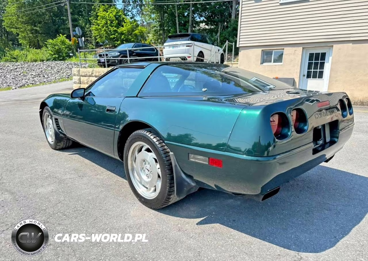 1995 Chevrolet Corvette VIN:1G1YY22P0S5114497 - 2