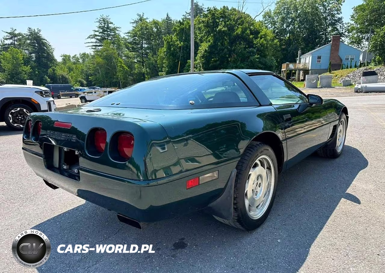 1995 Chevrolet Corvette VIN:1G1YY22P0S5114497 - 3