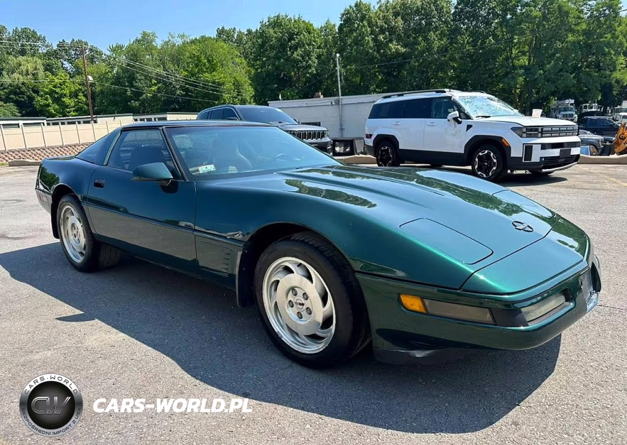 1995 Chevrolet Corvette VIN:1G1YY22P0S5114497 - 4