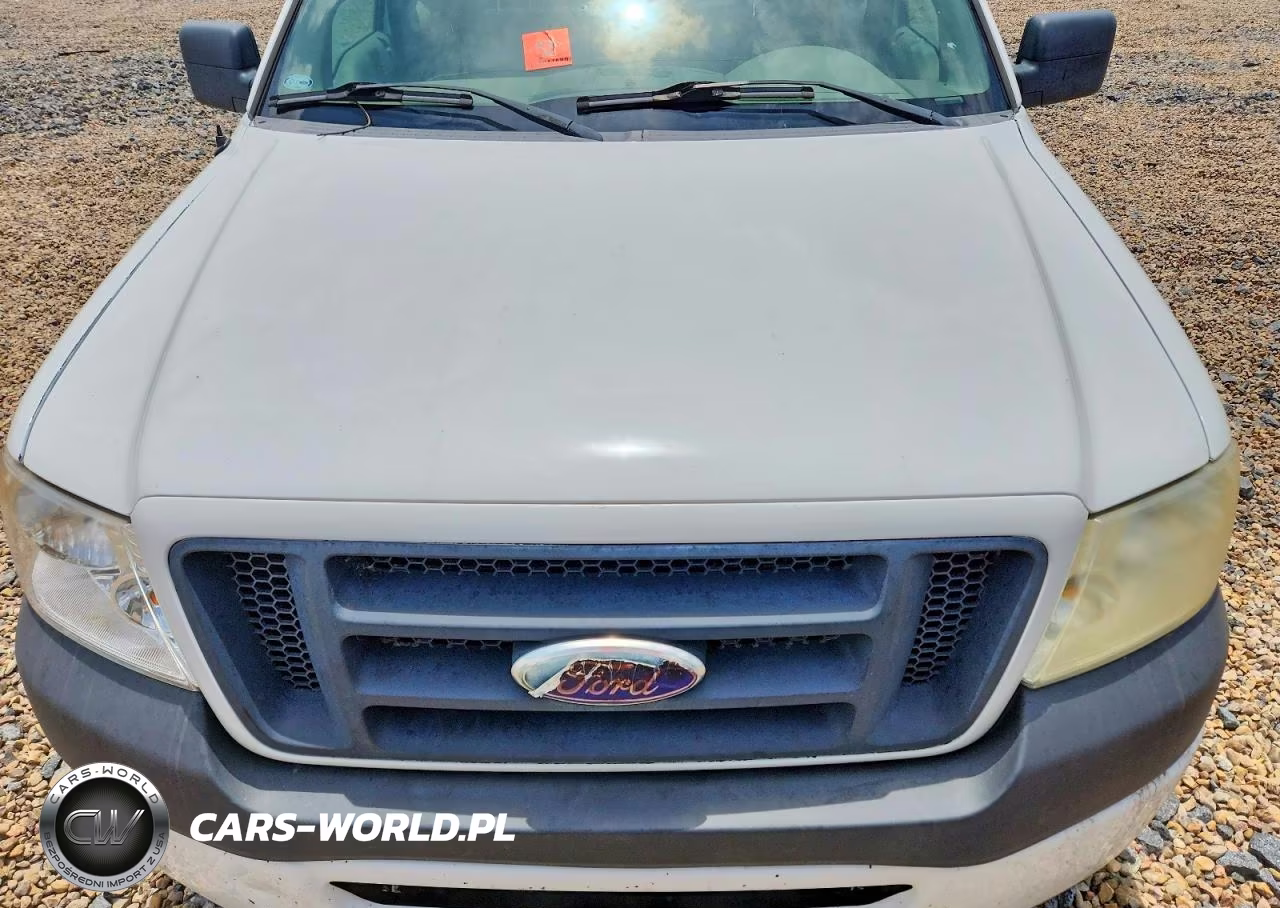 2008 Ford F-150 VIN:1FTPX12518KD81916 - 11