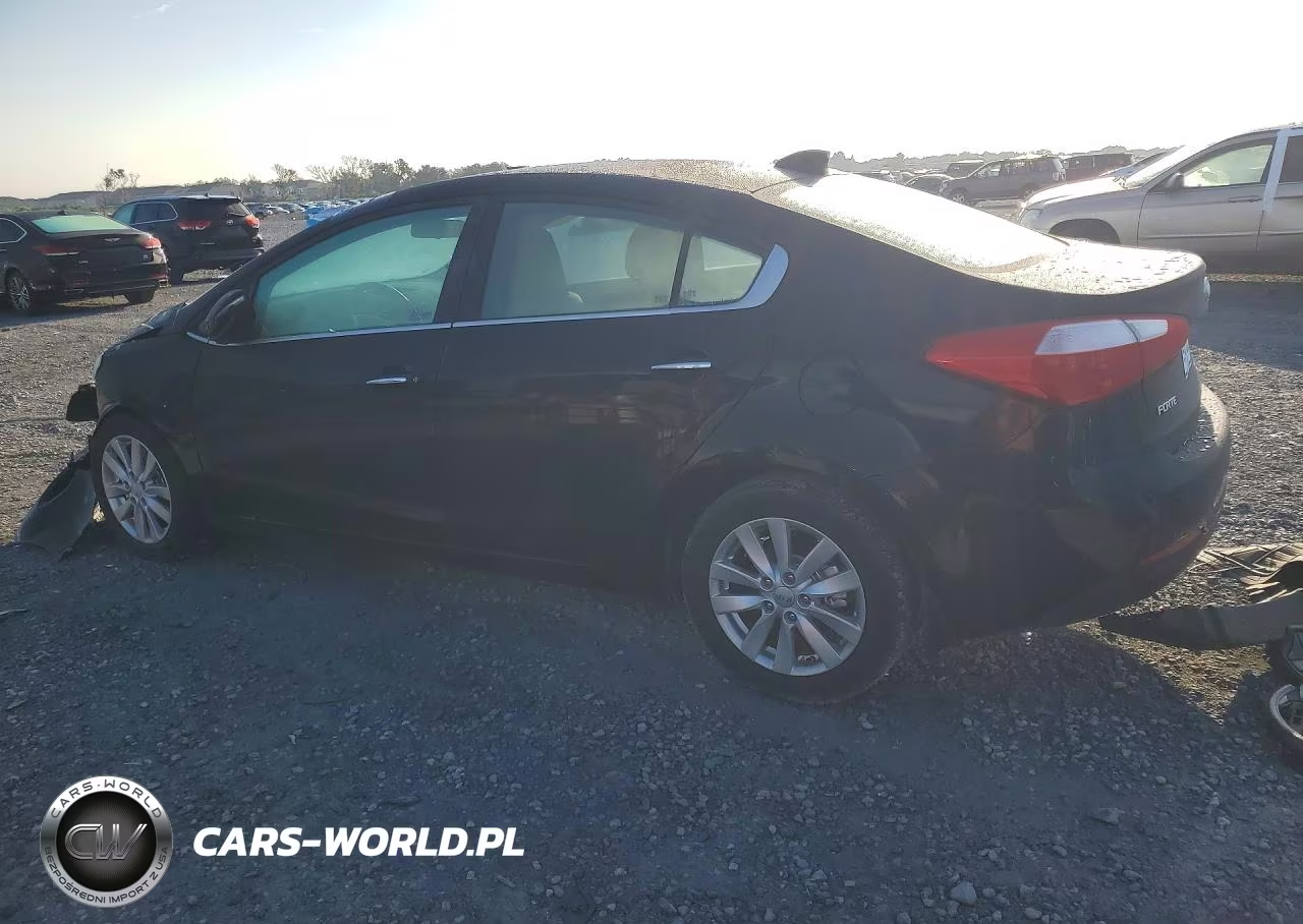 2014 Kia Forte Ex VIN:KNAFX4A81E5081387 - 2
