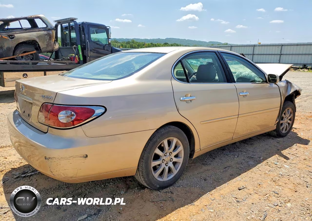2002 Lexus Es 300 VIN:JTHBF30G620042339 - 3