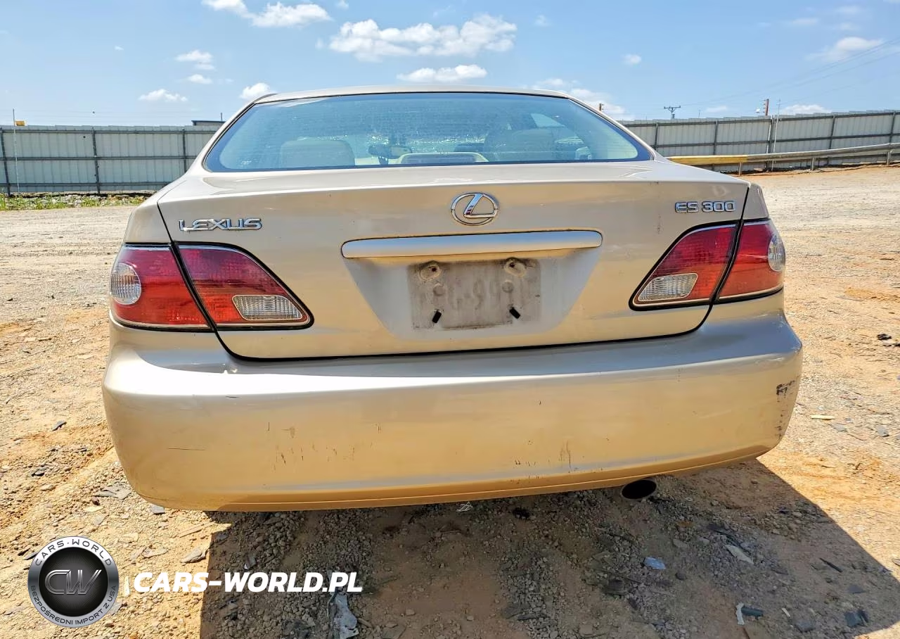 2002 Lexus Es 300 VIN:JTHBF30G620042339 - 6