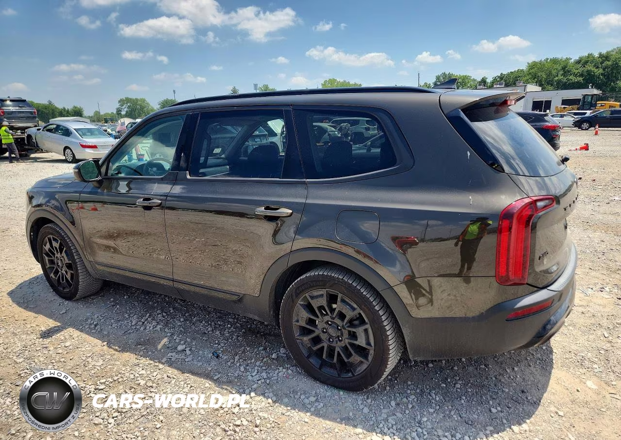 2021 Kia Telluride Ex VIN:5XYP3DHC0MG191740 - 2