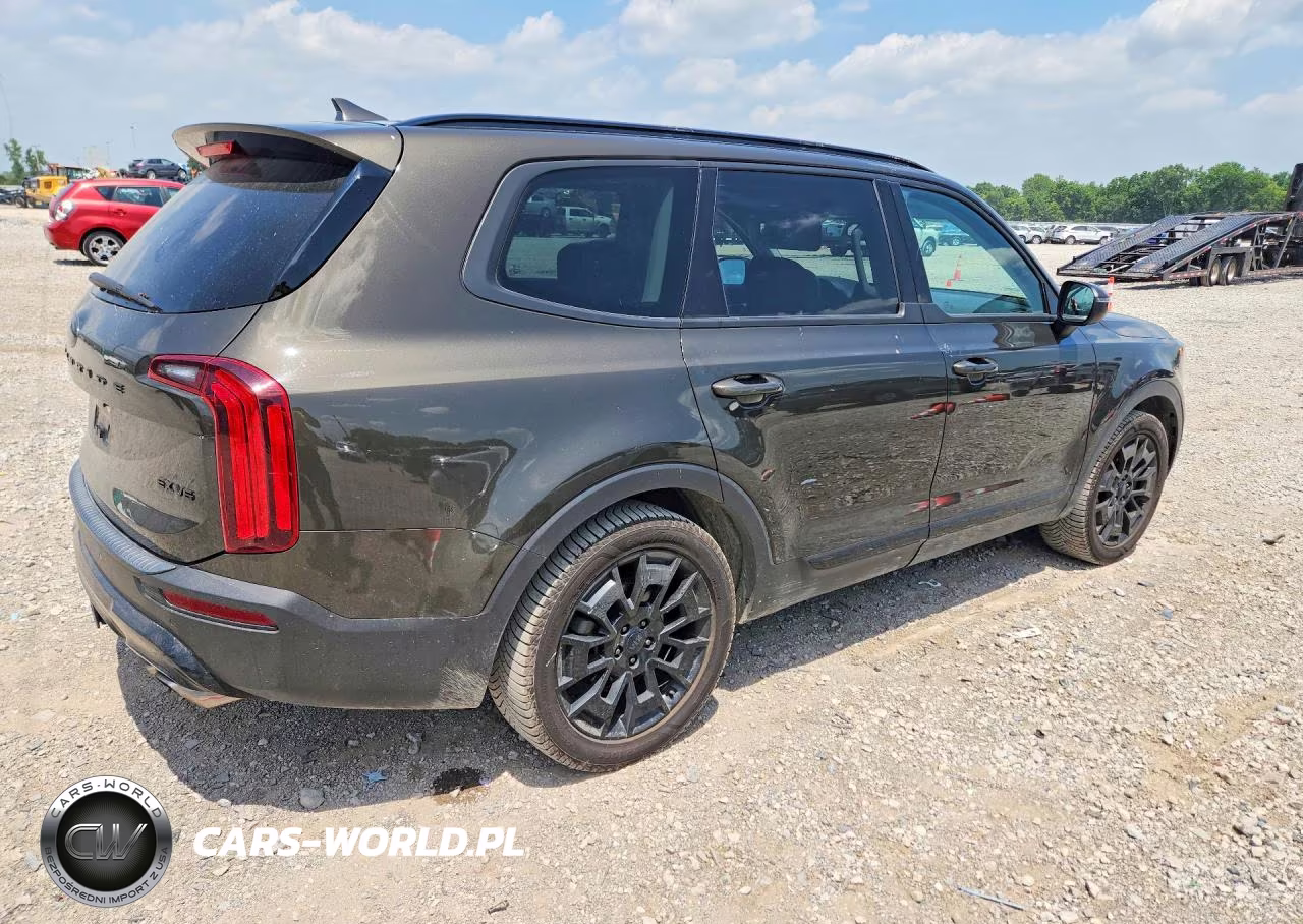 2021 Kia Telluride Ex VIN:5XYP3DHC0MG191740 - 3