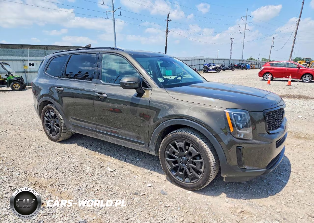 2021 Kia Telluride Ex VIN:5XYP3DHC0MG191740 - 4