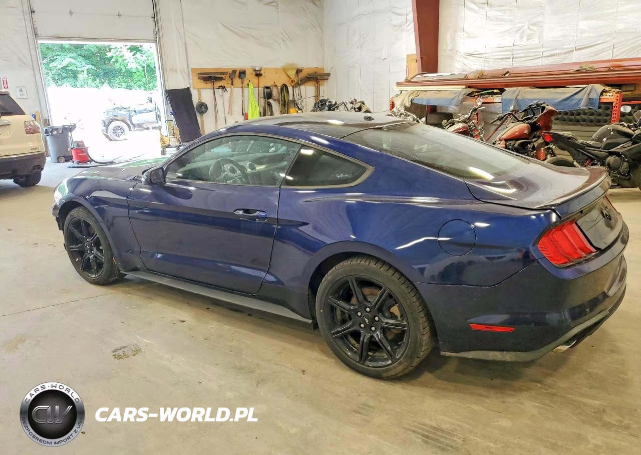 2019 Ford Mustang VIN:1FA6P8THXK5165846 - 2