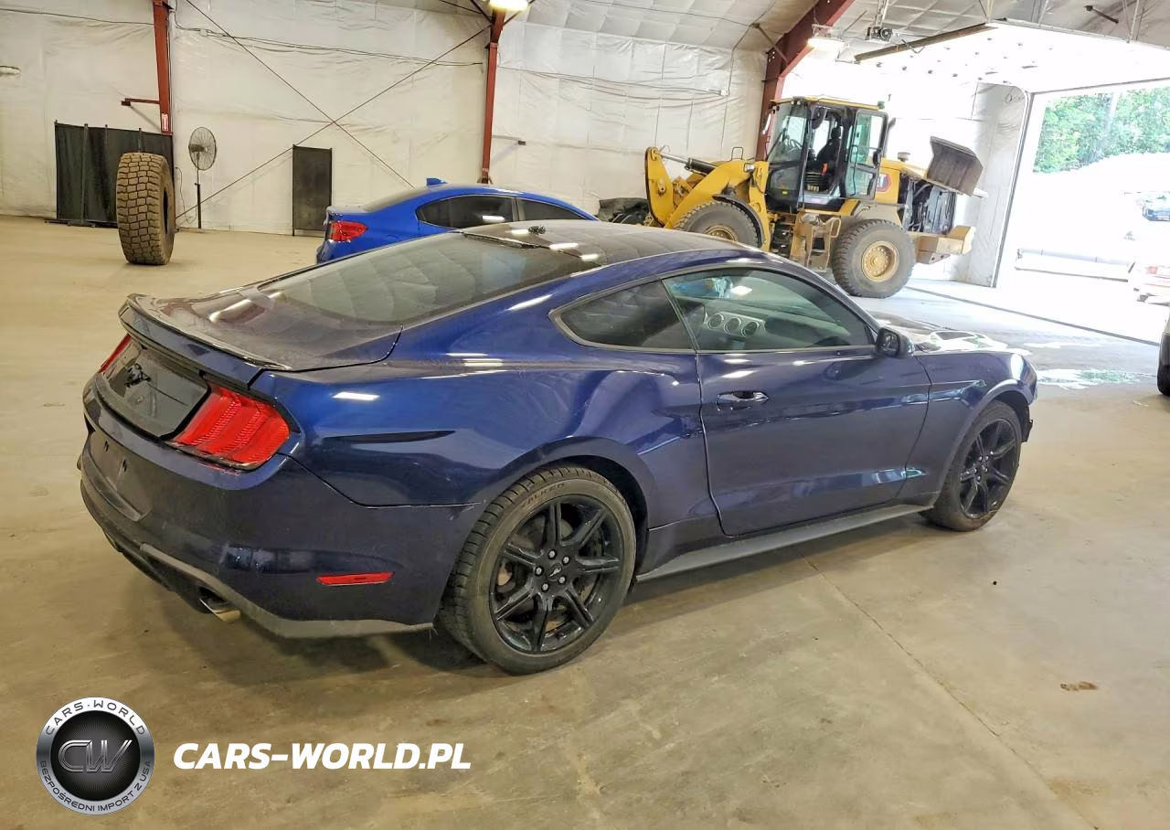 2019 Ford Mustang VIN:1FA6P8THXK5165846 - 3