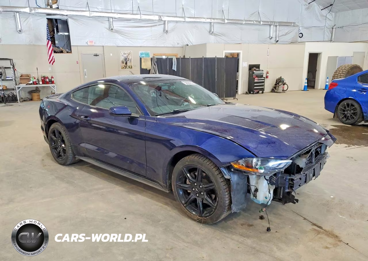2019 Ford Mustang VIN:1FA6P8THXK5165846 - 4