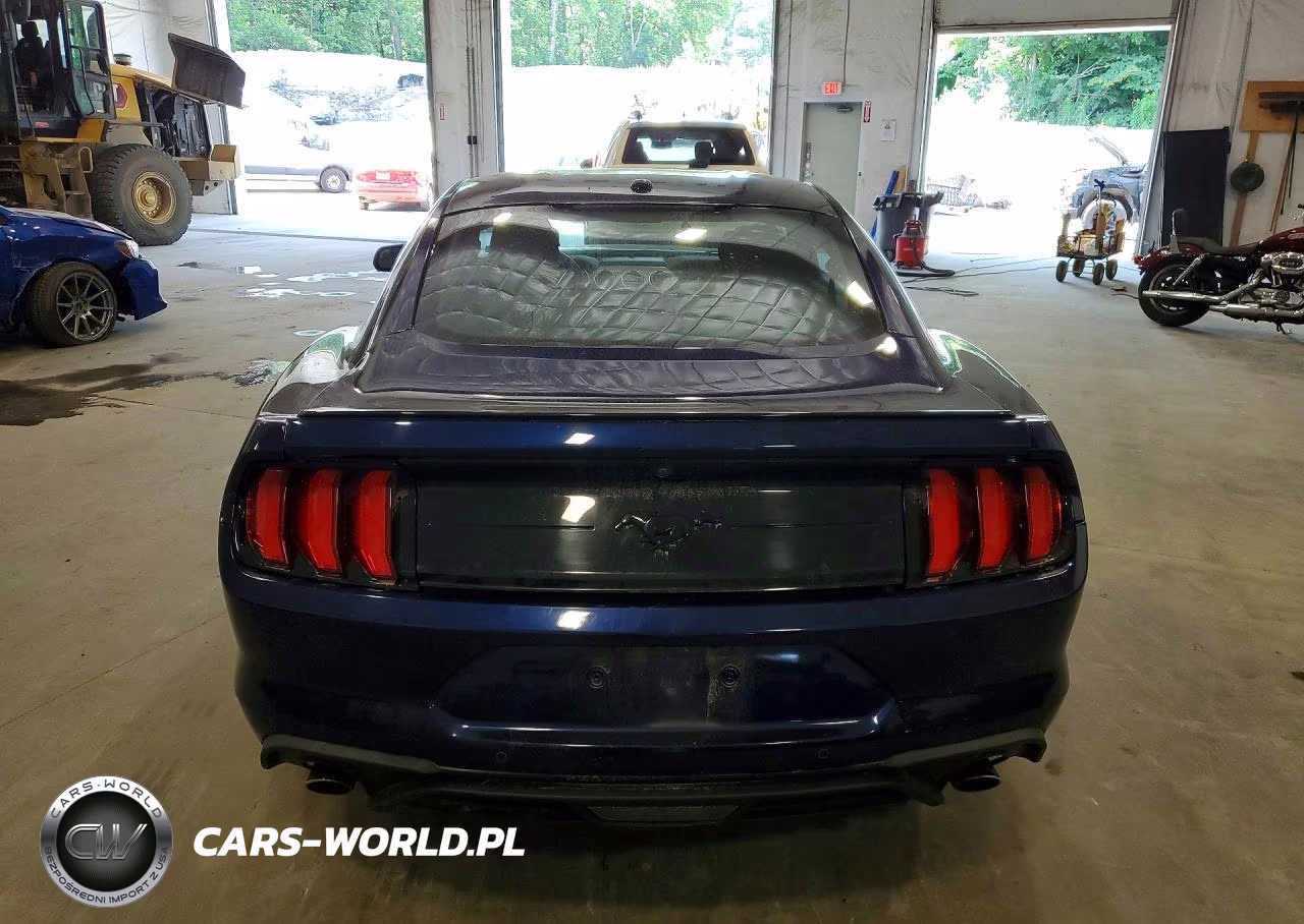 2019 Ford Mustang VIN:1FA6P8THXK5165846 - 6