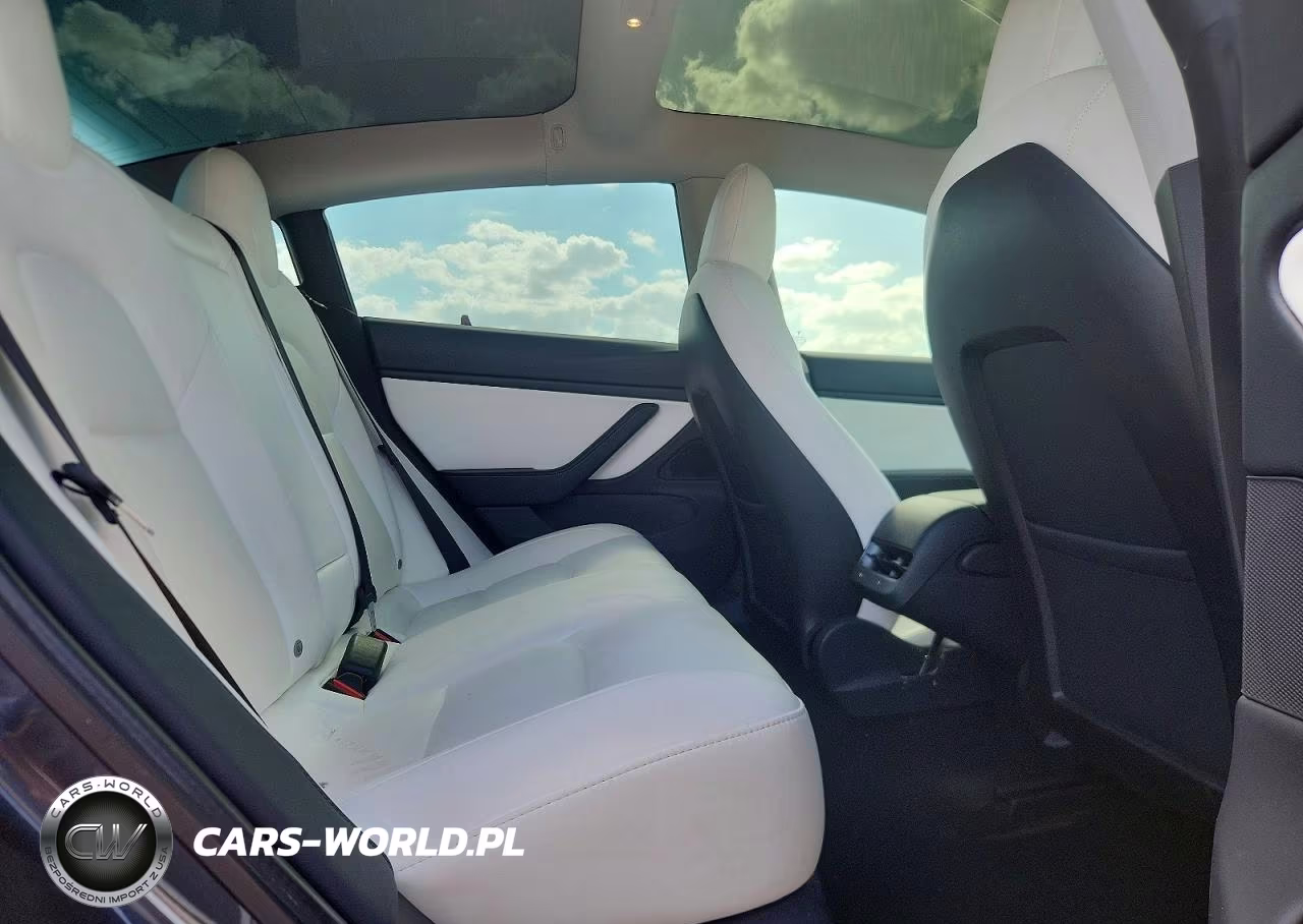 2020 Tesla Model 3 VIN:5YJ3E1EAXLF645895 - 10