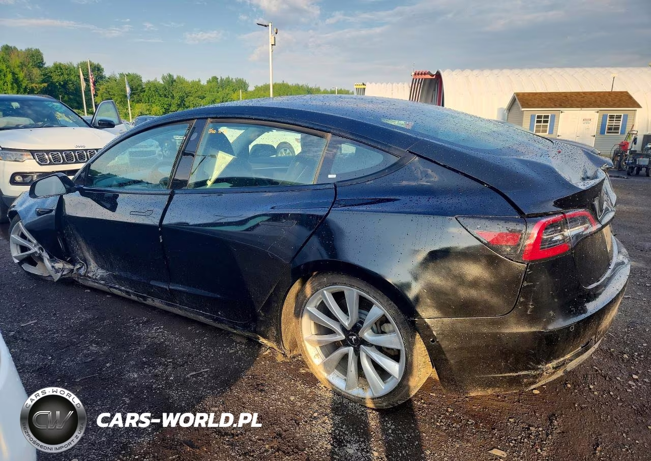 2022 Tesla Model 3 VIN:5YJ3E1EA3NF369272 - 2