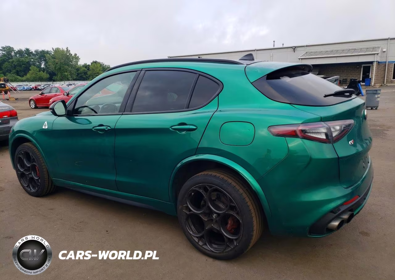 2024 Alfa Romeo Stelvio Quadrifoglio VIN:ZASPAKEV3R7D79938 - 2