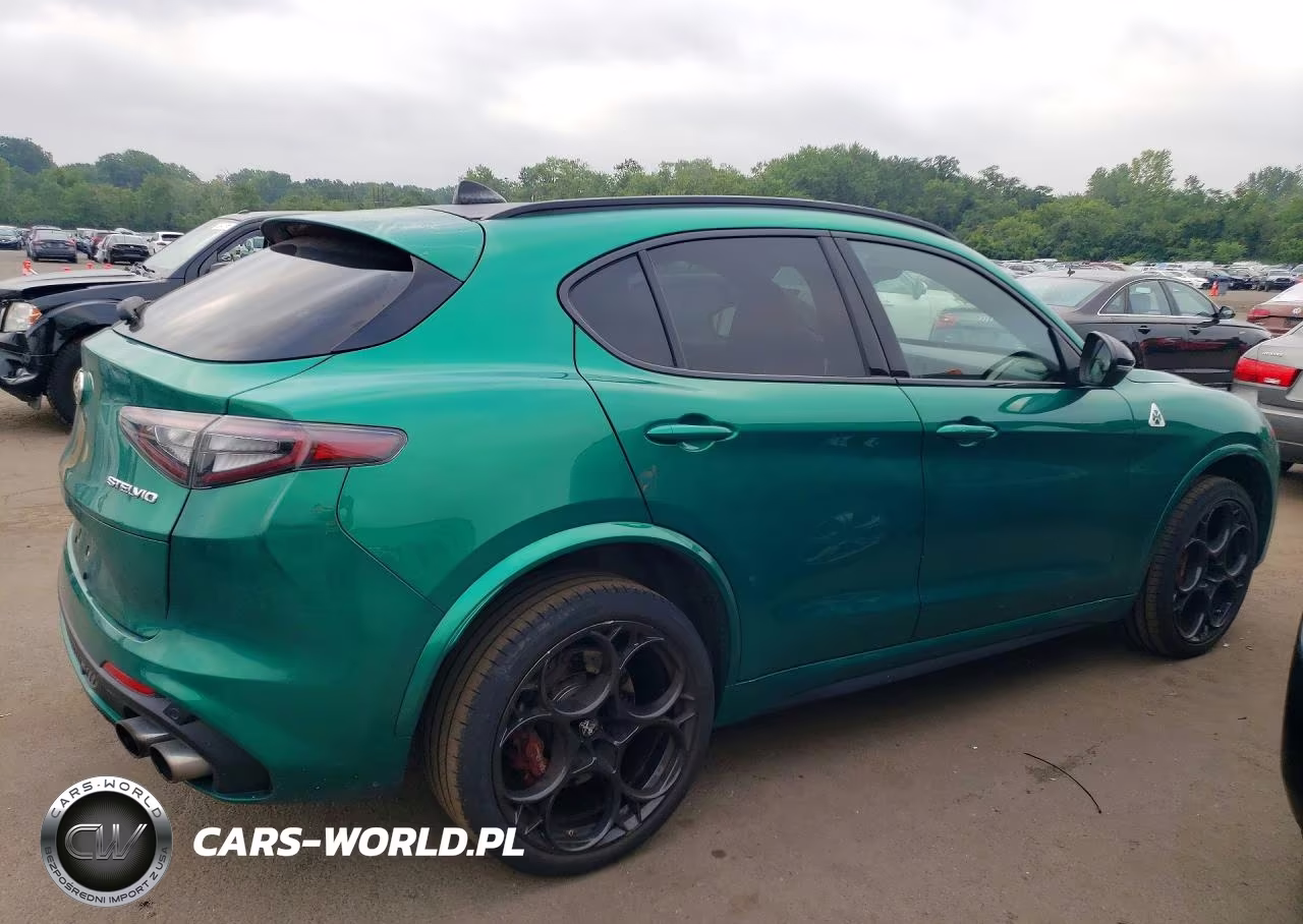 2024 Alfa Romeo Stelvio Quadrifoglio VIN:ZASPAKEV3R7D79938 - 3