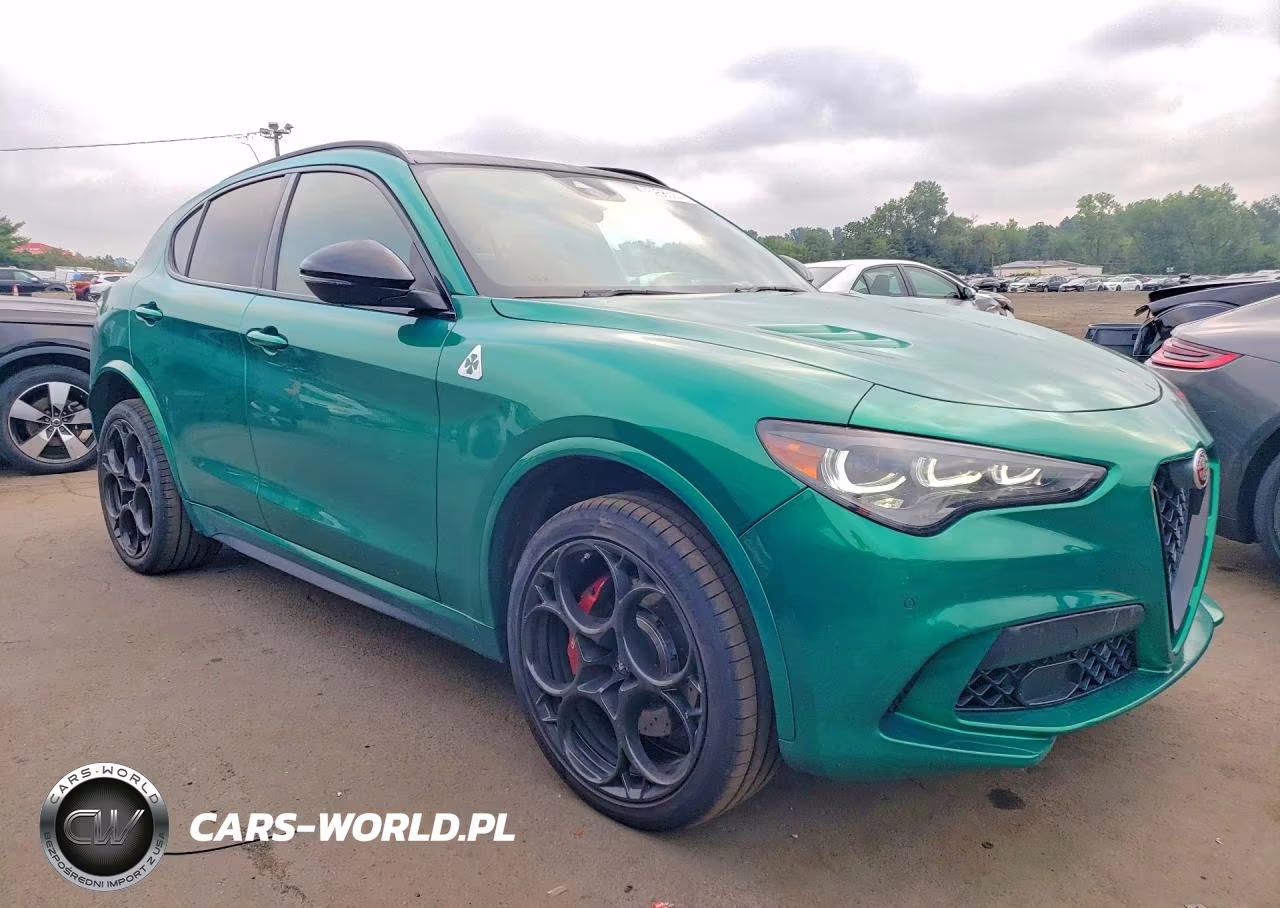 2024 Alfa Romeo Stelvio Quadrifoglio VIN:ZASPAKEV3R7D79938 - 4