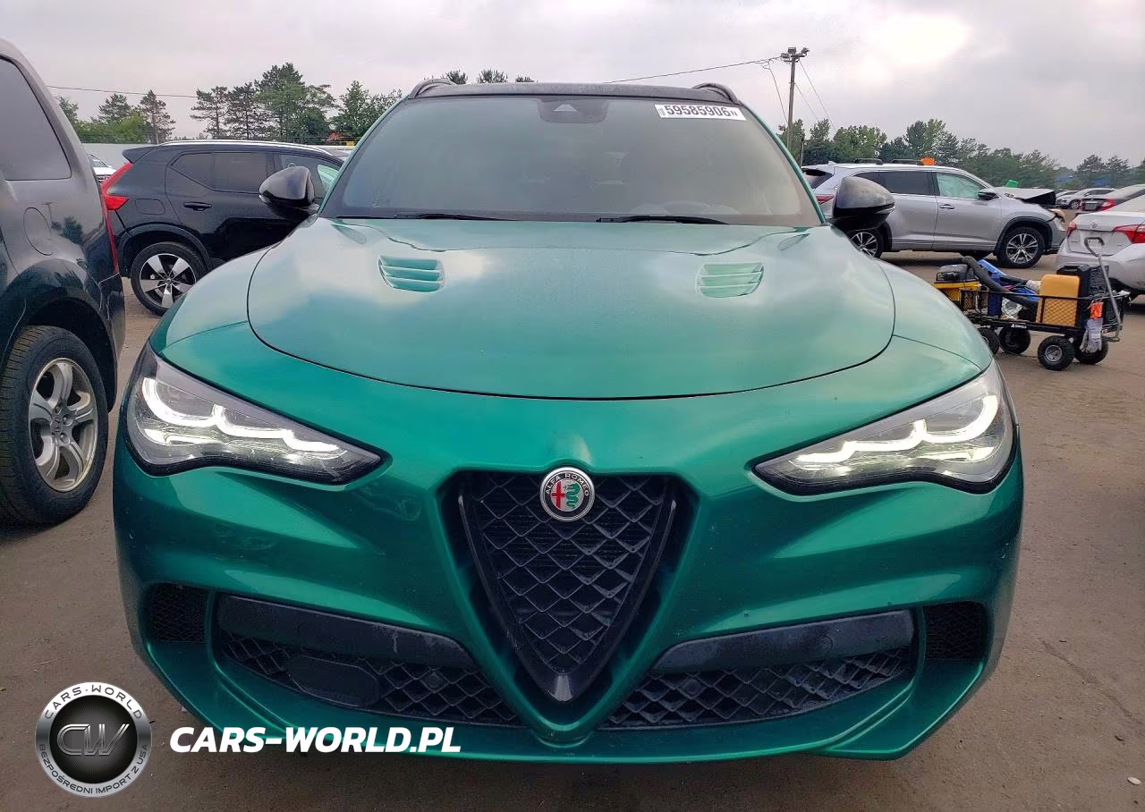 2024 Alfa Romeo Stelvio Quadrifoglio VIN:ZASPAKEV3R7D79938 - 5