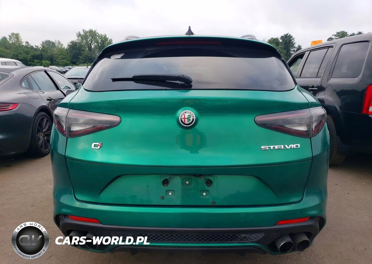 2024 Alfa Romeo Stelvio Quadrifoglio VIN:ZASPAKEV3R7D79938 - 6