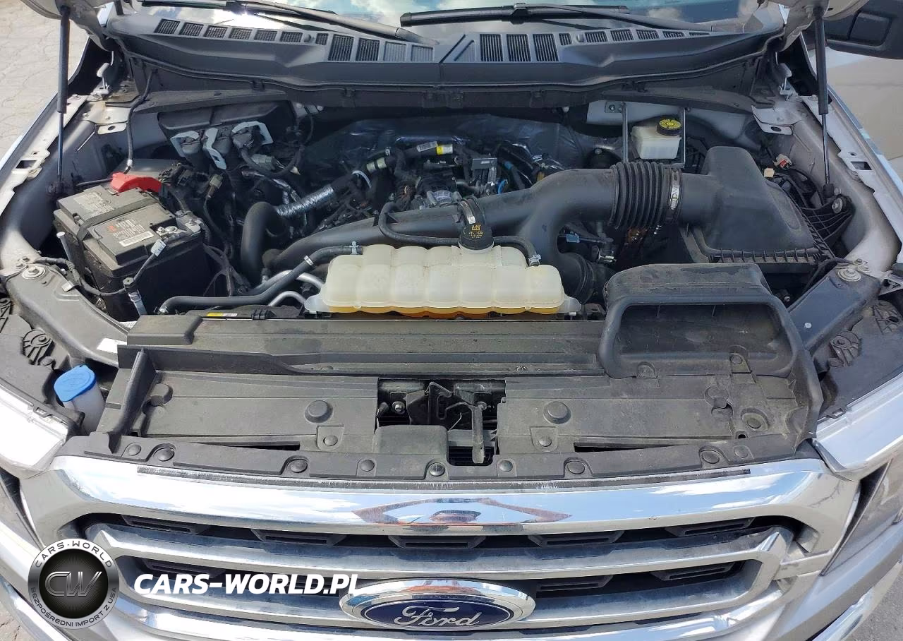 2023 Ford F150 Supercrew VIN:1FTEW1CP5PKD57420 - 11
