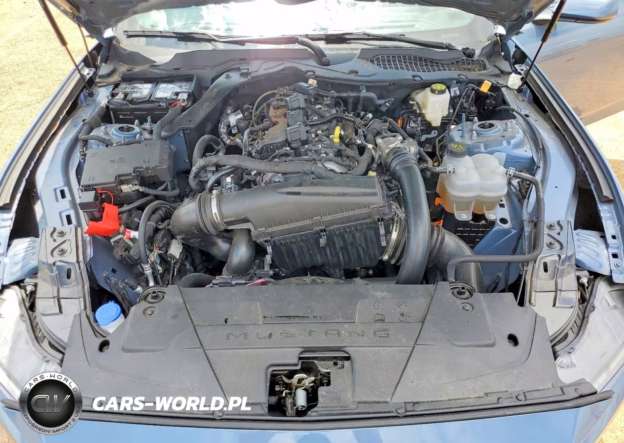 2025 Ford Mustang VIN:1FA6P8TH7S5116510 - 11