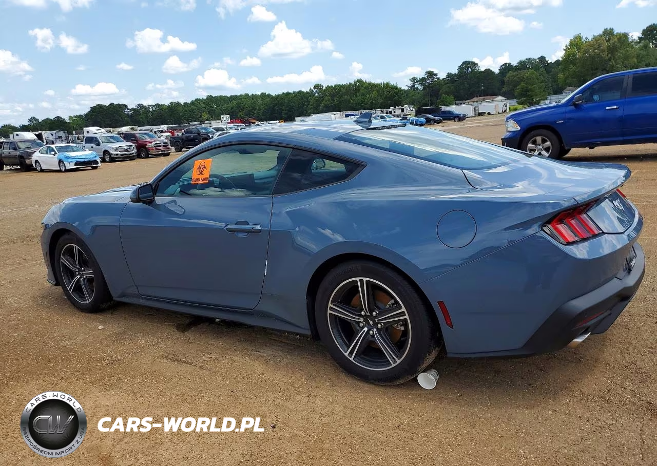 2025 Ford Mustang VIN:1FA6P8TH7S5116510 - 2