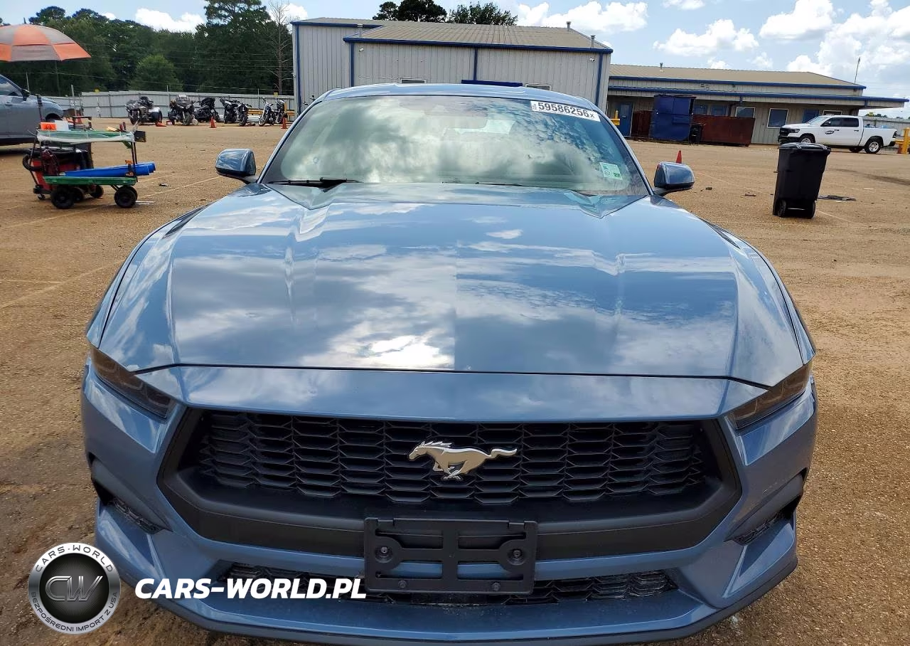 2025 Ford Mustang VIN:1FA6P8TH7S5116510 - 5